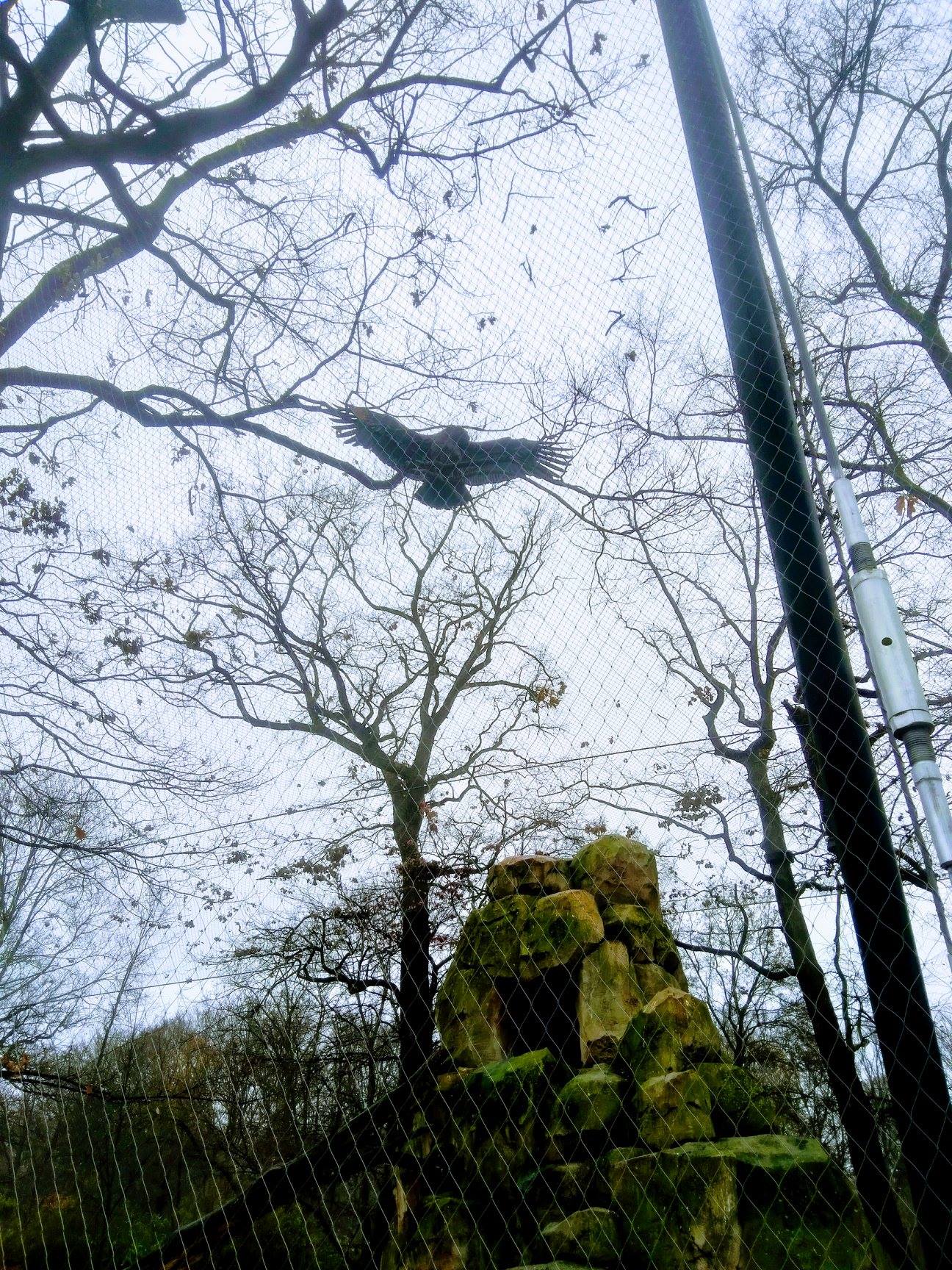 Sint-Martinus den XIIde - Winterkamp VK Berlijn
